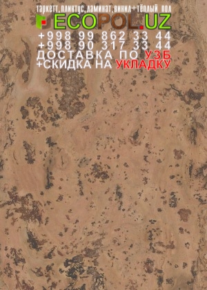 Пробка Пол в Ташкенте 58 ламинат artens сосна верона отзывы линолеум таркет укладка териш Самарканд  Tashkent